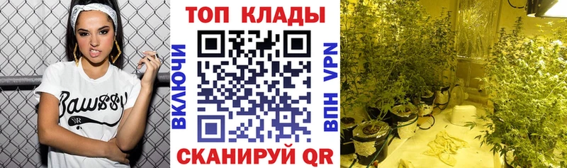 Бошки Шишки Гусиноозёрск