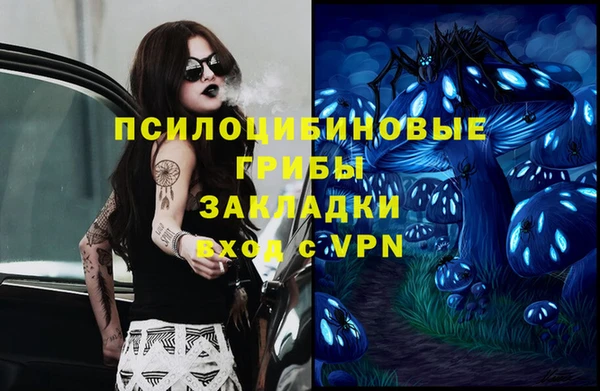 дмт Бугульма