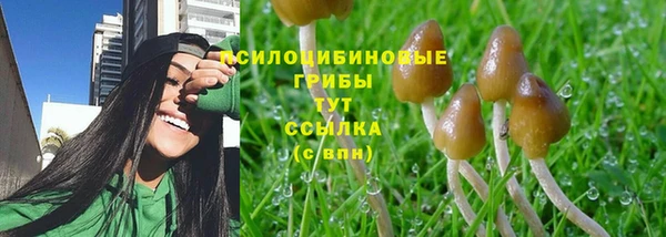 прущий лед Бронницы