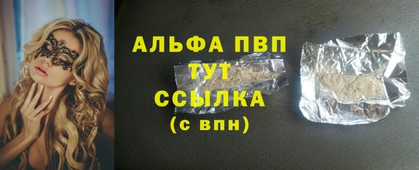 spice Бородино