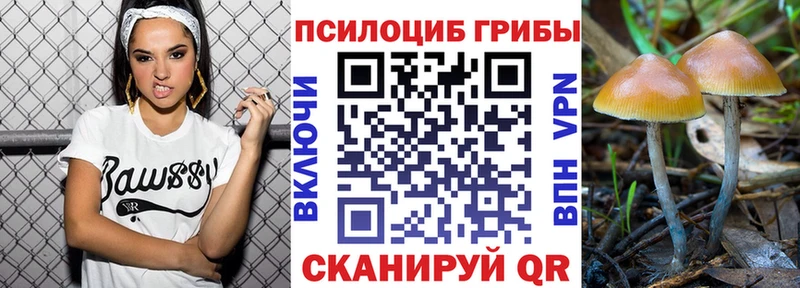 Псилоцибиновые грибы MAGIC MUSHROOMS  где продают наркотики  Гусиноозёрск 